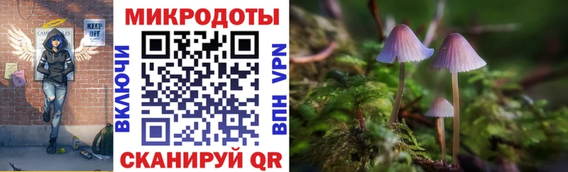 Псилоцибиновые грибы мицелий Нестеров