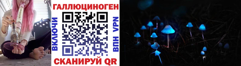 Псилоцибиновые грибы Psilocybine cubensis  Нестеров 